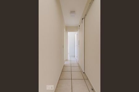 Corredor de apartamento para alugar com 2 quartos, 55m² em Mansões Santo Antônio, Campinas