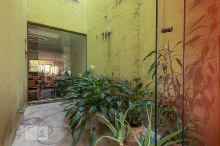 Jardim de inverno  de casa à venda com 4 quartos, 190m² em Cidade Patriarca, São Paulo