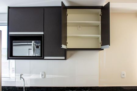 Cozinha - Armários de apartamento para alugar com 1 quarto, 40m² em Funcionários, Belo Horizonte