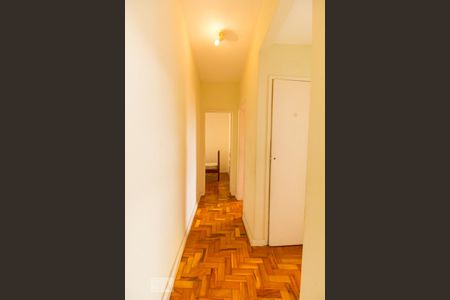 Corredor de apartamento para alugar com 2 quartos, 79m² em Parque Mandaqui, São Paulo