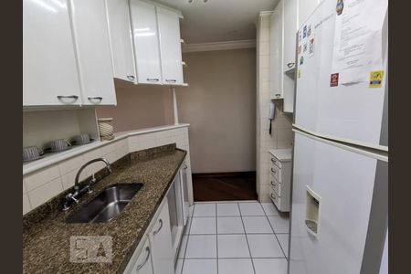 Cozinha de apartamento à venda com 3 quartos, 82m² em Jardim Colombo, São Paulo
