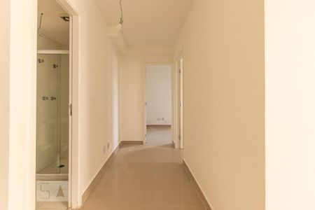 Corredor  de apartamento para alugar com 2 quartos, 47m² em Jardim Sao Francisco (zona Leste), São Paulo