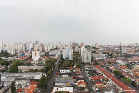 Vista da Suíte 1 de apartamento para alugar com 3 quartos, 65m² em Vila Santa Catarina, São Paulo