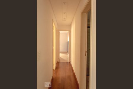 Corredor de apartamento para alugar com 3 quartos, 78m² em Alto da Mooca, São Paulo