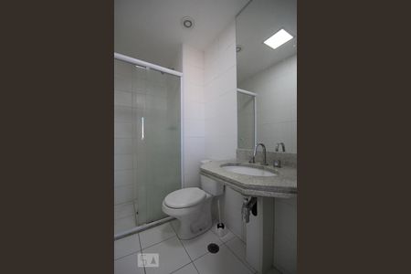 Banheiro de apartamento para alugar com 2 quartos, 52m² em Super Quadra Morumbi, São Paulo