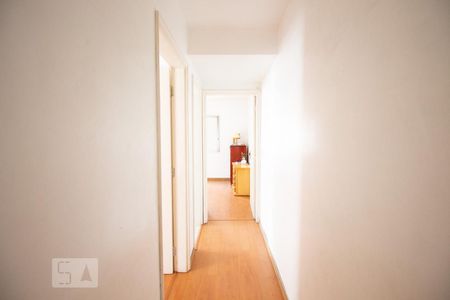 Corredor de apartamento para alugar com 2 quartos, 75m² em Vila Santa Catarina, São Paulo