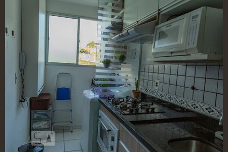 Cozinha e Área de Serviço de apartamento para alugar com 2 quartos, 51m² em Vila Carminha, Campinas