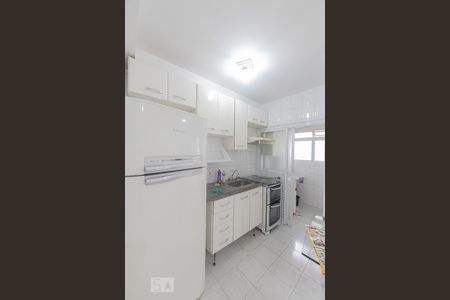 Cozinha de apartamento para alugar com 1 quarto, 48m² em Vila Gomes Cardim, São Paulo