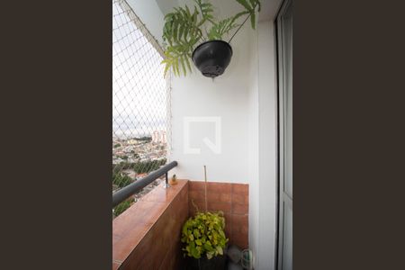 Varanda da Sala de apartamento à venda com 3 quartos, 76m² em Vila Amélia, São Paulo