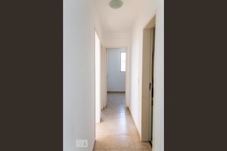 Corredor de apartamento para alugar com 3 quartos, 60m² em Castelo, Belo Horizonte