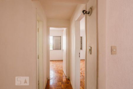 Corredor de apartamento para alugar com 2 quartos, 90m² em Vila Monumento, São Paulo