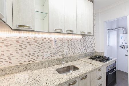 Cozinha de apartamento para alugar com 1 quarto, 38m² em Vila Santa Catarina, São Paulo