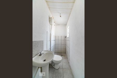 Banheiro de casa para alugar com 1 quarto, 32m² em Vila Ede, São Paulo