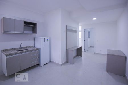 Cozinha e Sala de apartamento para alugar com 1 quarto, 26m² em Luz, São Paulo