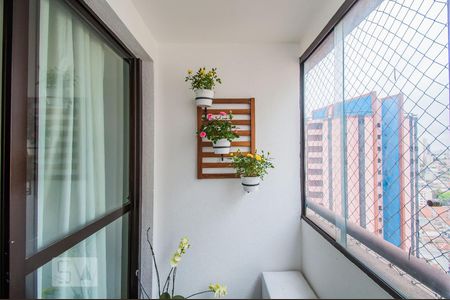 Varanda da Sala de apartamento para alugar com 2 quartos, 56m² em Cambuci, São Paulo