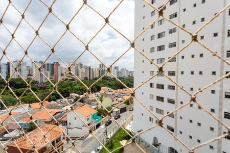 Vista Varanda da Sala de apartamento para alugar com 2 quartos, 64m² em Vila Guarani (z Sul), São Paulo