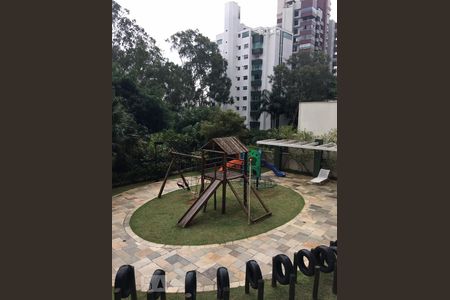 playground de apartamento para alugar com 1 quarto, 60m² em Morumbi, São Paulo