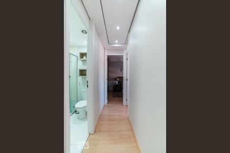Corredor Quartos de apartamento para alugar com 2 quartos, 50m² em Vila Guilherme, São Paulo