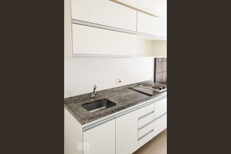 Cozinha de apartamento para alugar com 1 quarto, 30m² em Jardim Novo Santo Amaro, São Paulo