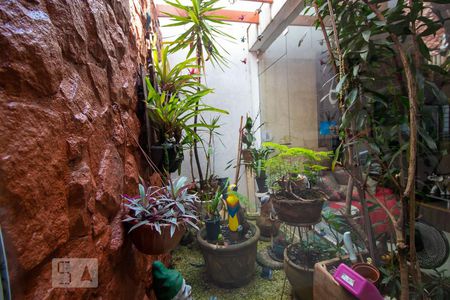 Jardim de inverno de casa à venda com 3 quartos, 140m² em Vila Guiomar, Santo André