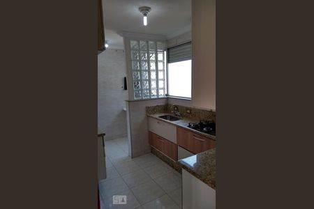 Cozinha de apartamento para alugar com 2 quartos, 54m² em Parque São Vicente, Santo André