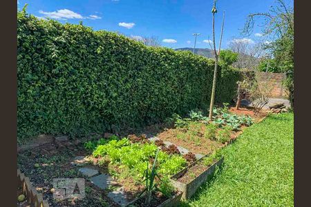 Jardim de casa de condomínio para alugar com 3 quartos, 415m² em Cavalhada, Porto Alegre