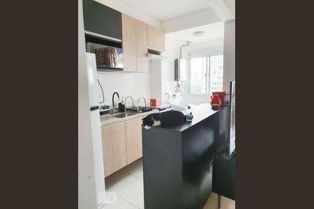 Cozinha - Armários de apartamento para alugar com 2 quartos, 45m² em Presidente Altino, Osasco