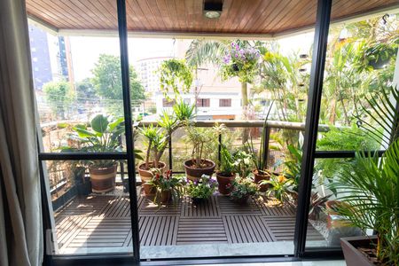 Varanda da Sala de apartamento para alugar com 3 quartos, 150m² em Vila Pinheirinho, Santo André