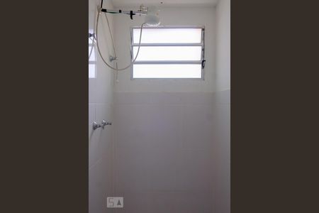 Banheiro de apartamento para alugar com 2 quartos, 49m² em Itaquera, São Paulo