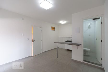 Sala/Cozinha de apartamento para alugar com 1 quarto, 25m² em Quinta da Paineira, São Paulo