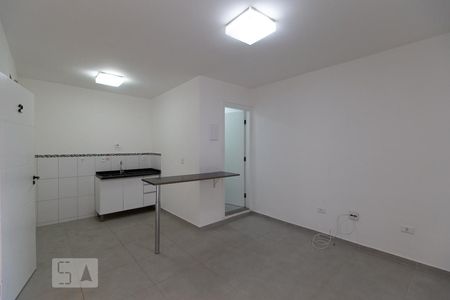 Sala/Cozinha de apartamento para alugar com 1 quarto, 25m² em Quinta da Paineira, São Paulo