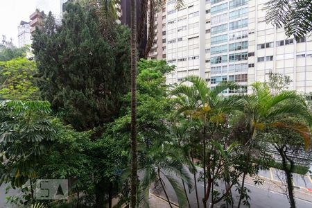 Vista de apartamento para alugar com 3 quartos, 270m² em Jardim Paulista, São Paulo