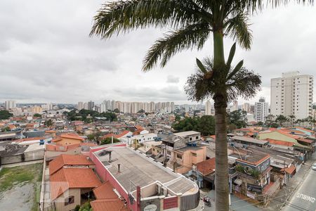 Vista sala de apartamento para alugar com 1 quarto, 55m² em Gopoúva, Guarulhos