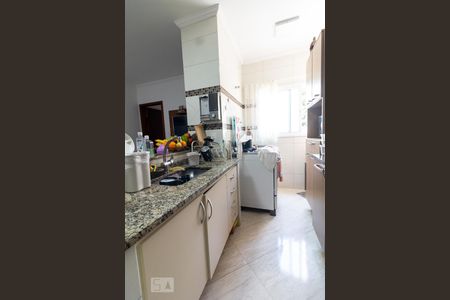 Cozinha  de apartamento à venda com 3 quartos, 73m² em Vila Curuca, Santo André