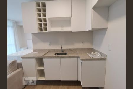 Cozinha - Armários de apartamento para alugar com 1 quarto, 41m² em Real Parque, São Paulo