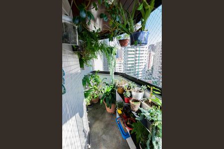 Varanda de apartamento à venda com 3 quartos, 180m² em Aclimação, São Paulo
