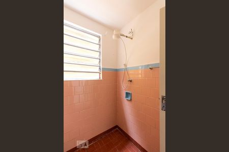 Banheiro Social de apartamento para alugar com 2 quartos, 50m² em Vila Guarani (z Sul), São Paulo