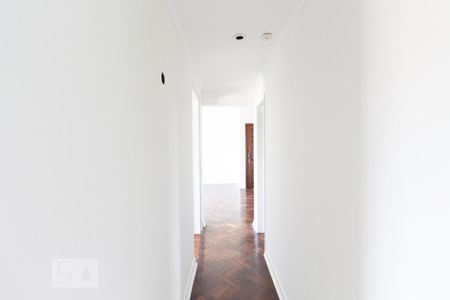 Corredor de apartamento para alugar com 3 quartos, 108m² em Planalto Paulista, São Paulo