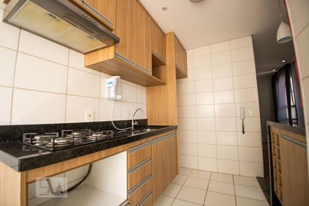 cozinha de apartamento para alugar com 2 quartos, 44m² em Jardim do Lago Ii, Campinas