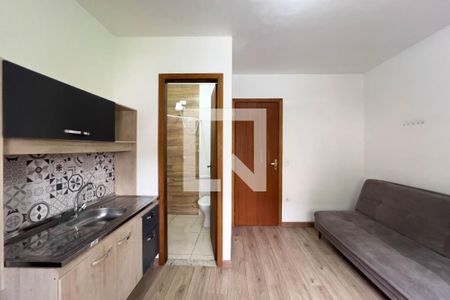 Cozinha de kitnet/studio para alugar com 1 quarto, 15m² em Ipiranga, São Paulo