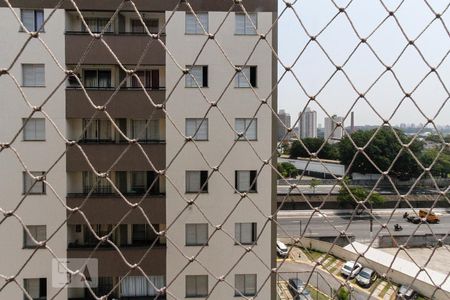 vista de apartamento para alugar com 3 quartos, 60m² em Vila Bela, São Paulo