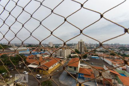 Vista de apartamento para alugar com 2 quartos, 66m² em Jardim do Trevo, Campinas