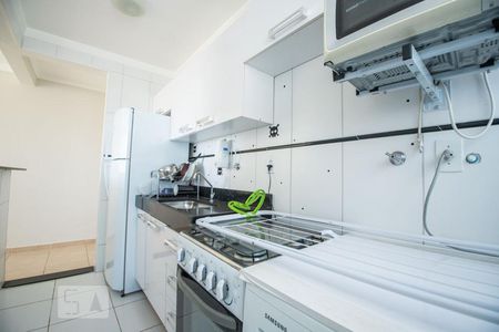 cozinha de apartamento para alugar com 2 quartos, 50m² em Loteamento Parque São Martinho, Campinas