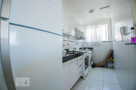 cozinha de apartamento para alugar com 2 quartos, 50m² em Loteamento Parque São Martinho, Campinas