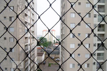 Vista da Suíte de apartamento à venda com 3 quartos, 65m² em Ponte Grande, Guarulhos