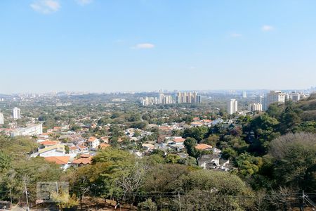 Vista Sala de apartamento para alugar com 2 quartos, 130m² em Vila Ipojuca, São Paulo