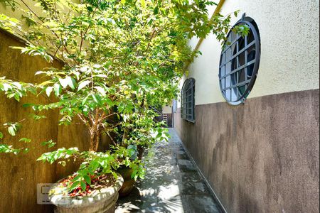 Quintal de casa à venda com 5 quartos, 240m² em Siciliano, São Paulo