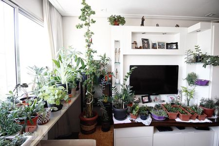 Sala de apartamento à venda com 3 quartos, 90m² em Mirandópolis, São Paulo