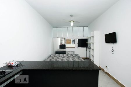 Sala/Cozinha de kitnet/studio para alugar com 1 quarto, 23m² em Botafogo, Rio de Janeiro