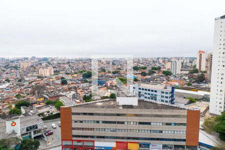 Vista da Suíte de apartamento à venda com 3 quartos, 80m² em Vila Mascote, São Paulo